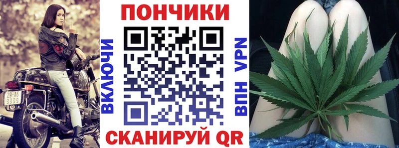 где найти наркотики Завитинск Каннабис индика